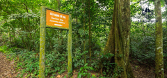 Group Tour to Cuc Phuong National Park: Full Day Adventure Amid  Nature