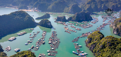Ha Long 1 Day Group Cruise Tour | Explore Vietnam's Majestic Waters