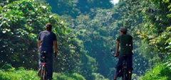 Group Tour to Cuc Phuong National Park: Full Day Adventure Amid  Nature