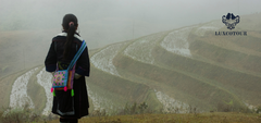 Discover Sapa in 2 Days Train Tour