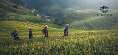 Embark on a Memorable 3 Days 2 Nights Sapa Adventure via Limousine Bus - Fansipan Itinerary