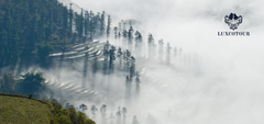 Discover Sapa in 2 Days Train Tour