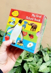 Myfirst picture book (truyện tranh tư duy hình ảnh cho bé bộ 10q)