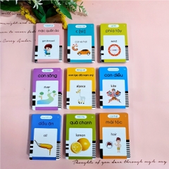 Thẻ đọc anh việt 255 thẻ(45 bộ/thùng)