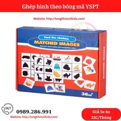 Ghép hình theo bóng mã YSPT (32 bộ/thùng)
