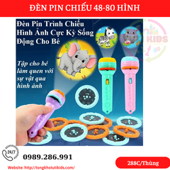 Đèn Pin( 80 hình)(240 bộ/thùng)