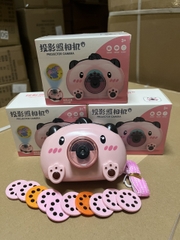 Máy ảnh heo chiếu bóng 8066B(240 bộ/thùng)