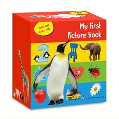 Myfirst picture book (truyện tranh tư duy hình ảnh cho bé bộ 10q)