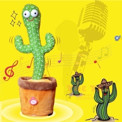 Xương rồng(100 bộ/thùng)