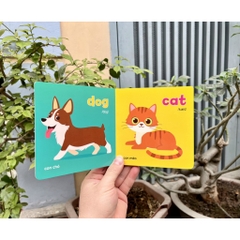 Baby first picture book (bộ sách hình ảnh đầu tiên cho bé về thế giới xung quanh)