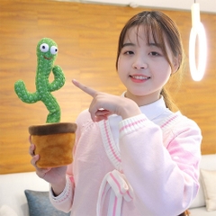 Xương rồng(100 bộ/thùng)