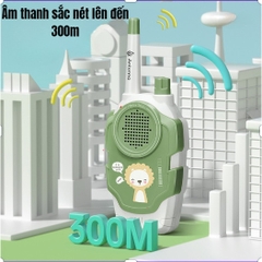 Bộ đàm 300m(96 bộ/thùng)