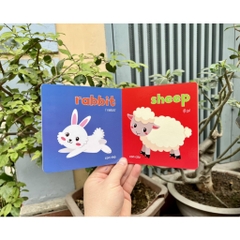 Baby first picture book (bộ sách hình ảnh đầu tiên cho bé về thế giới xung quanh)