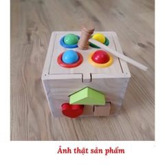 Hộp thả hình khối (24 bộ/thùng)
