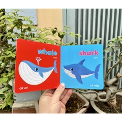 Baby first picture book (bộ sách hình ảnh đầu tiên cho bé về thế giới xung quanh)