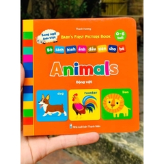 Myfirst picture book (truyện tranh tư duy hình ảnh cho bé bộ 10q)