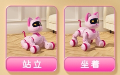 Robot Mèo có điều khiển(12 bộ/thùng)