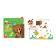 Bộ ehon cùng con khám phá thế giới động vật (song ngữ Anh - Việt) Bộ 8 cuốn