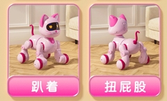 Robot Mèo có điều khiển(12 bộ/thùng)
