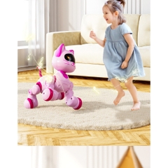 Robot Mèo có điều khiển(12 bộ/thùng)