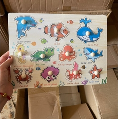 Bảng Núm Gỗ (100 bộ/thùng)