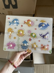 Bảng Núm Gỗ (100 bộ/thùng)