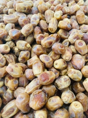 CHÀ LÀ SẤY DẺO ( Hộp 500g )