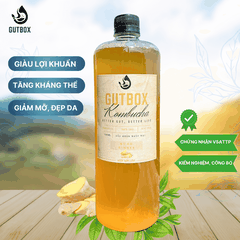 Gutbox Kombucha Gừng