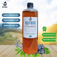 Gutbox Kombucha Việt Quất-Lavender