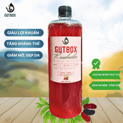 Gutbox Kombucha Dâu Tằm