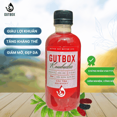Gutbox Kombucha Dâu Tằm