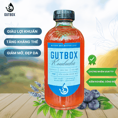 Gutbox Kombucha Việt Quất-Lavender