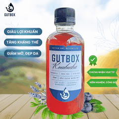 Gutbox Kombucha Việt Quất-Lavender
