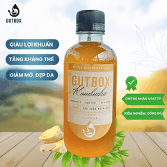 Gutbox Kombucha Gừng