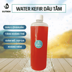 Water kefir Dâu Tằm