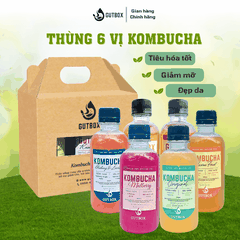 (TẶNG QUÀ) Thùng 6 chai Kombucha Gutbox (250ml)