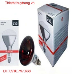 BÓNG ĐÈN SƯỞI HỒNG NGOẠI DICH TONG