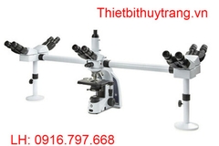 KÍNH HIỂN VI 5 NGƯỜI QUAN SÁT IS.1156-PLI5 EUROMEX