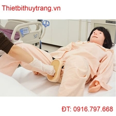 THIẾT BỊ TẬP SA CƠ QUAN VÙNG CHẬU NỮ MW75 NHẬT BẢN