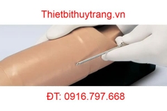 MÔ HÌNH THỰC HÀNH CẤY GHÉP CÁNH TAY S519.PK GAUMARD