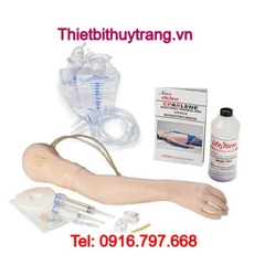 Mô Hình Cánh Tay Tiêm Tĩnh Mạch Cao Cấp Nasco LF04080