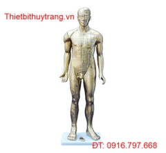 MÔ HÌNH CHÂM CỨU CAO CẤP TOÀN THÂN NGƯỜI 84CM