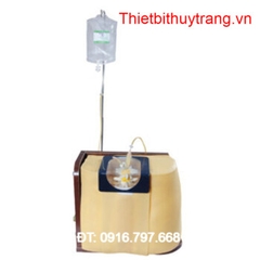 MÔ HÌNH CHỌC DÒ TUỶ SỐNG GD/L68A