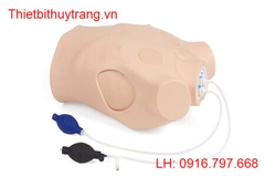 MÔ HÌNH CHỌC HÚT DỊCH MÀNG BỤNG – PARACENTENSIS TRAINER