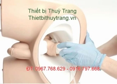 MÔ HÌNH THĂM KHÁM HẬU MÔN TRỰC TRÀNG CHẤT LƯỢNG CAO
