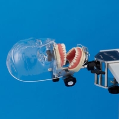 MÔ HÌNH ĐÀO TẠO NHA KHOA NISSIN - SIMPLE MANIKIN III