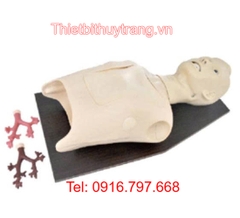 Mô Hình Đào Tạo Nội Soi Phế Quản GD/LV48