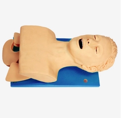 MÔ HÌNH ĐẶT NỘI KHÍ QUẢN NGƯỜI LỚN BÁN THÂN GD/J5S