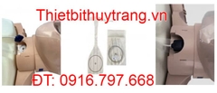 MÔ HÌNH HỒI SỨC TIM PHỔI CAO CẤP PRESTAN NGƯỜI LỚN SERIES 2000