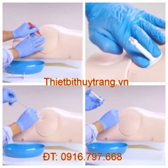 MÔ HÌNH CHỌC DÒ MÀNG BỤNG LIMBS & THINGS 60111